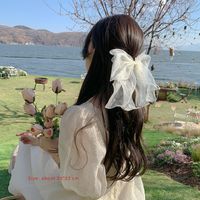 Women's Cute Simple Style Bow Knot Gauze Hair Clip sku image 6