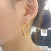 1 Pair Exaggerated Simple Style Solid Color Plating 304 Stainless Steel 18K Gold Plated Gold Plated Earrings main image 9