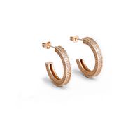 1 Pair Hip-Hop Rock Simple Style C Shape Polishing Inlay Copper Zircon 18K Gold Plated Ear Studs main image 5