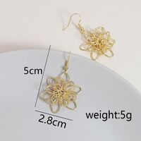 Fashion Plating Alloy No Inlaid Earrings main image 7