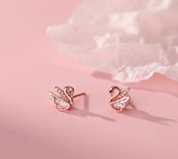 1 Pair Casual Simple Style Swan Plating Inlay Sterling Silver Rhinestones Rose Gold Plated White Gold Plated Ear Studs main image 1