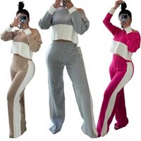 Täglich Straße Frau Einfacher Stil Farbblock Baumwollmischung Polyester Kontrastkragen Hosen-sets Hosen-sets main image 6