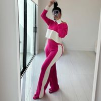 Daily Street Women's Simple Style Color Block Cotton Blend Polyester Contrast Collar Pants Sets Pants Sets main image 4