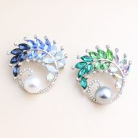 Elegant Sweet Plant Alloy Inlay Crystal Rhinestones Unisex Brooches main image 1