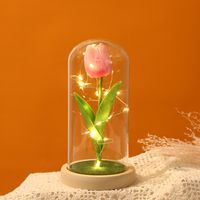 Sweet Pastoral Tulip Plastic Glass Indoor main image 5