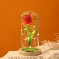 Sweet Pastoral Tulip Plastic Glass Indoor main image 4