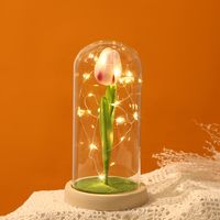 Sweet Pastoral Tulip Plastic Glass Indoor main image 3