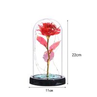 Valentine's Day Romantic Pastoral Flower Plastic Indoor Party Date Rose Flower main image 3