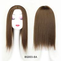 Women's Simple Style Multicolor Casual High Temperature Wire Straight Hair Wigs sku image 5