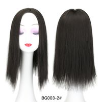 Women's Simple Style Multicolor Casual High Temperature Wire Straight Hair Wigs sku image 1