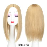 Women's Simple Style Multicolor Casual High Temperature Wire Straight Hair Wigs sku image 14