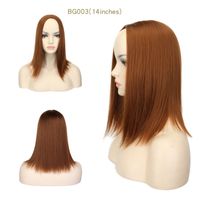 Women's Simple Style Multicolor Casual High Temperature Wire Straight Hair Wigs main image 2