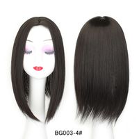 Women's Simple Style Multicolor Casual High Temperature Wire Straight Hair Wigs sku image 2