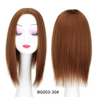 Women's Simple Style Multicolor Casual High Temperature Wire Straight Hair Wigs sku image 6