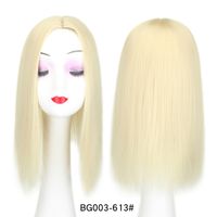 Women's Simple Style Multicolor Casual High Temperature Wire Straight Hair Wigs sku image 9