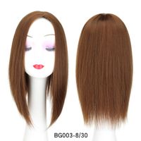 Women's Simple Style Multicolor Casual High Temperature Wire Straight Hair Wigs sku image 4