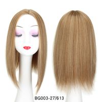 Women's Simple Style Multicolor Casual High Temperature Wire Straight Hair Wigs sku image 13