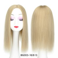 Women's Simple Style Multicolor Casual High Temperature Wire Straight Hair Wigs sku image 11