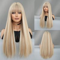 Women's Elegant Multicolor Casual High Temperature Wire Bangs Long Straight Hair Wig Net sku image 6