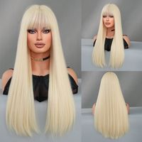 Women's Elegant Multicolor Casual High Temperature Wire Bangs Long Straight Hair Wig Net sku image 7