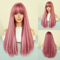 Women's Elegant Multicolor Casual High Temperature Wire Bangs Long Straight Hair Wig Net sku image 4