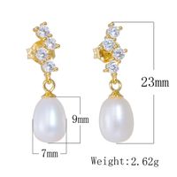 1 Pair Ig Style Sweet Irregular Solid Color Plating Inlay Sterling Silver Pearl Zircon 14k Gold Plated Rhodium Plated Drop Earrings main image 2