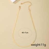 Wholesale Jewelry Hip-hop Simple Style Solid Color Alloy Necklace main image 6