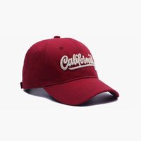 Unisex Casual Simple Style Commute Letter Embroidery Wide Eaves Floppy Hat Baseball Cap sku image 5