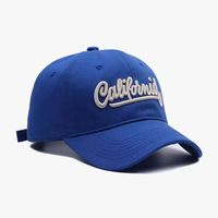 Unisex Casual Simple Style Commute Letter Embroidery Wide Eaves Floppy Hat Baseball Cap main image 1
