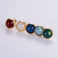12 Pairs Casual Cute Simple Style Animal Devil's Eye Fruit Sequins Plating Inlay 304 Stainless Steel Acrylic Turquoise Shell Ear Studs main image 4