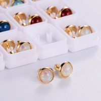 12 Pairs Casual Cute Simple Style Animal Devil's Eye Fruit Sequins Plating Inlay 304 Stainless Steel Acrylic Turquoise Shell Ear Studs main image 6