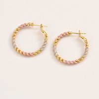 1 Pair Sweet Simple Style Solid Color Twist 201 Stainless Steel 18K Gold Plated Earrings main image 6