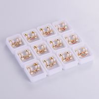 12 Pairs Casual Cute Simple Style Animal Devil's Eye Fruit Sequins Plating Inlay 304 Stainless Steel Acrylic Turquoise Shell Ear Studs sku image 5