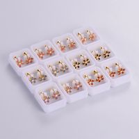 12 Pairs Casual Cute Simple Style Animal Devil's Eye Fruit Sequins Plating Inlay 304 Stainless Steel Acrylic Turquoise Shell Ear Studs sku image 3