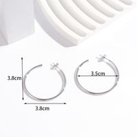 1 Pair Simple Style Classic Style C Shape Bamboo Plating Stainless Steel 18k Gold Plated Ear Studs main image 6
