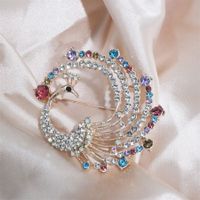 Simple Style Commute Peacock Alloy Inlay Rhinestones Women's Brooches sku image 1
