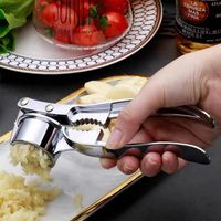 Simple Style Solid Color Stainless Steel Garlic Press 1 Piece main image 2