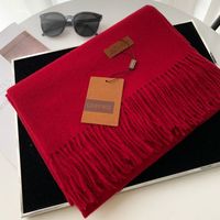 Women's Basic Solid Color Imitation Cashmere Tassel Scarf sku image 2