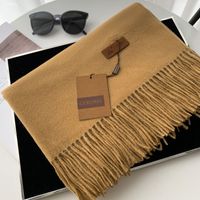 Women's Basic Solid Color Imitation Cashmere Tassel Scarf sku image 12