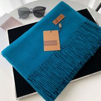 Women's Basic Solid Color Imitation Cashmere Tassel Scarf sku image 37