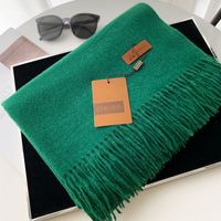 Women's Basic Solid Color Imitation Cashmere Tassel Scarf sku image 41