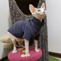 Hairless Cat Clothes Sphinx Autumn And Winter Thermal Base Sweater German Conis Curly Autumn Winter Clothing main image 4