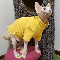 Hairless Cat Clothes Sphinx Autumn And Winter Thermal Base Sweater German Conis Curly Autumn Winter Clothing main image 2