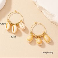 1 Pair Simple Style Shell Patchwork Alloy Drop Earrings main image 5