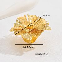 Glam Simple Style Flower Iron Hollow Out Women's Open Rings main image 9