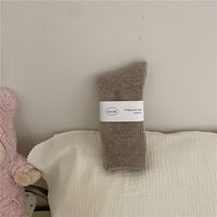 Women's Simple Style Solid Color Wool Polyacrylonitrile Fiber Crew Socks A Pair sku image 7