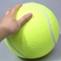Simple Style Sports Rubber Ball Pet Toys main image 3