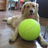 Simple Style Sports Rubber Ball Pet Toys sku image 1