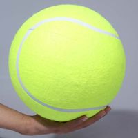 Simple Style Sports Rubber Ball Pet Toys main image 4