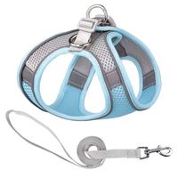 Simple Style Polyester Color Block Grid Leash main image 5